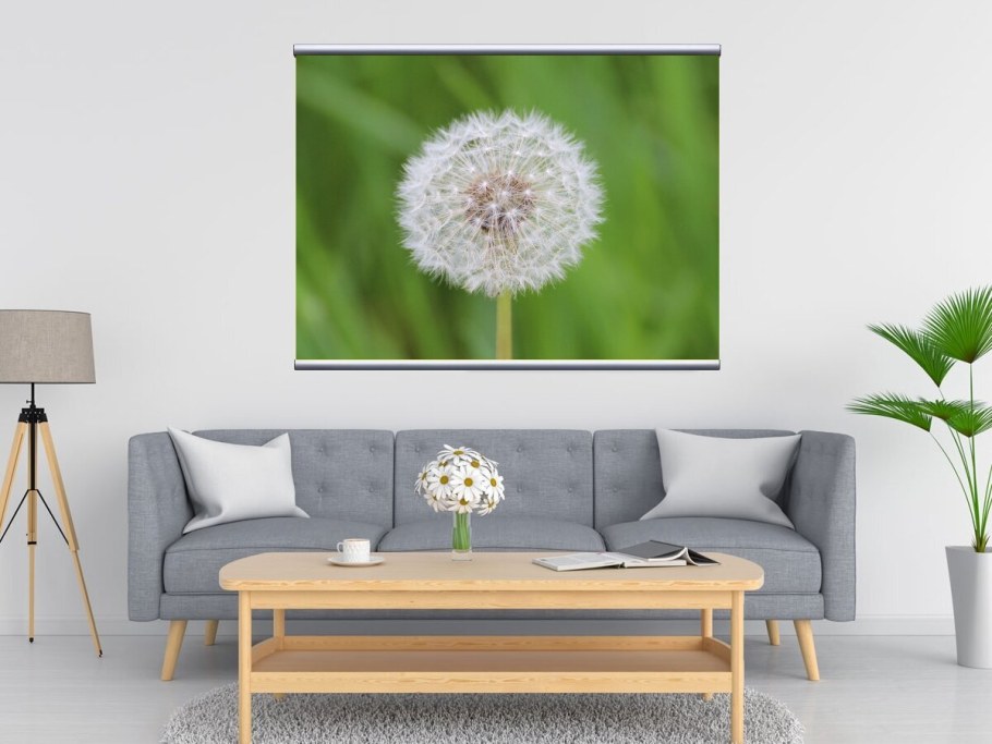 Картины одуванчики маслом на холсте