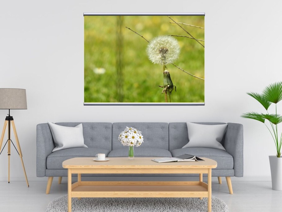 Картины одуванчики для интерьера