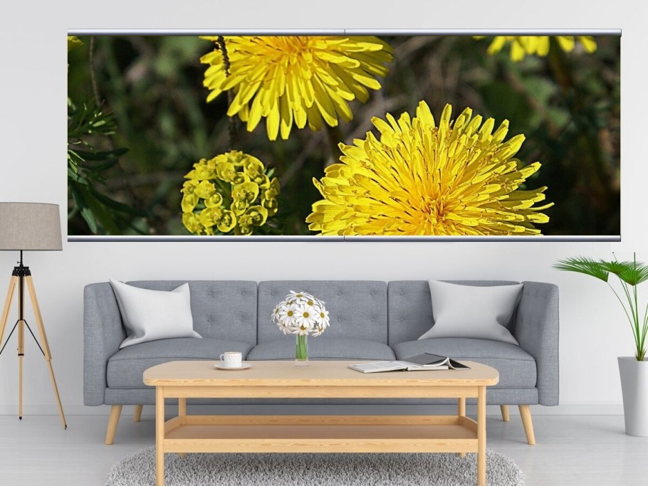 Картины одуванчики для интерьера