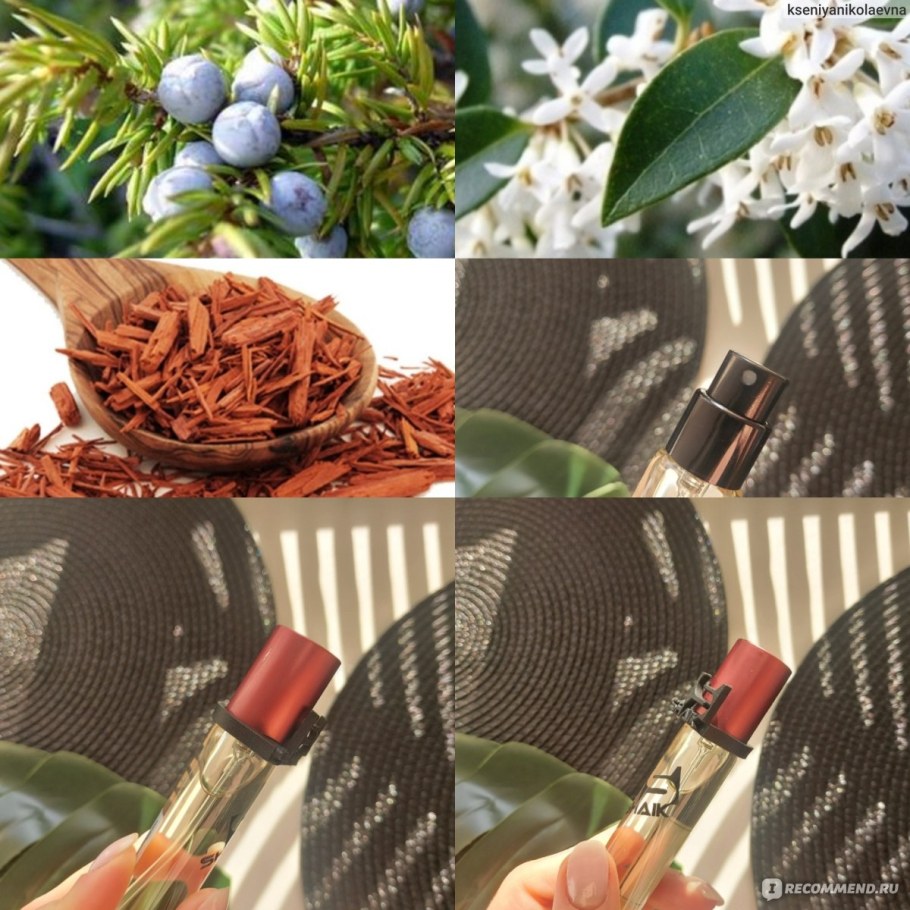 Ароматическое сандаловое дерево фото