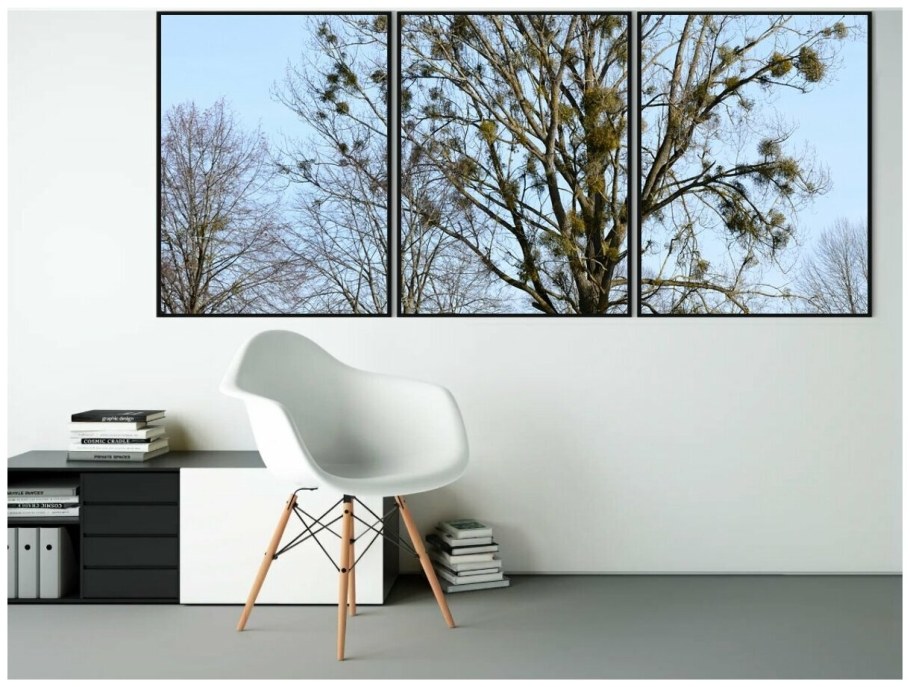 Тополь в интерьере