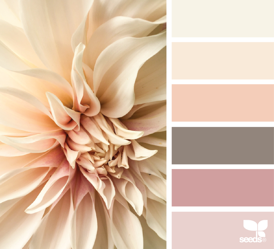 Цветовая палитра крем брюле