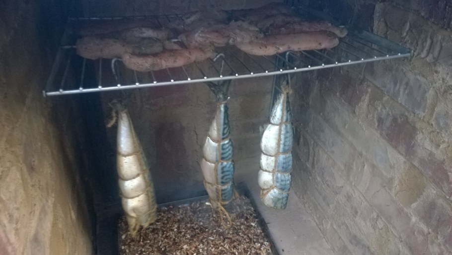 Как закоптить скумбрию в коптильне горячего копчения на даче