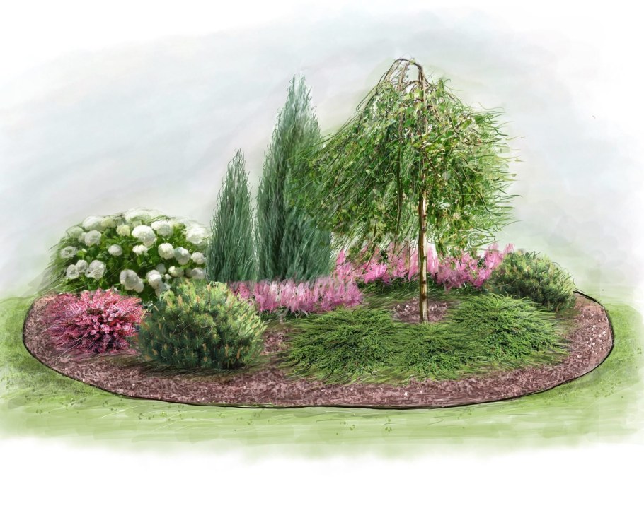 Сакура штамбовая плакучая