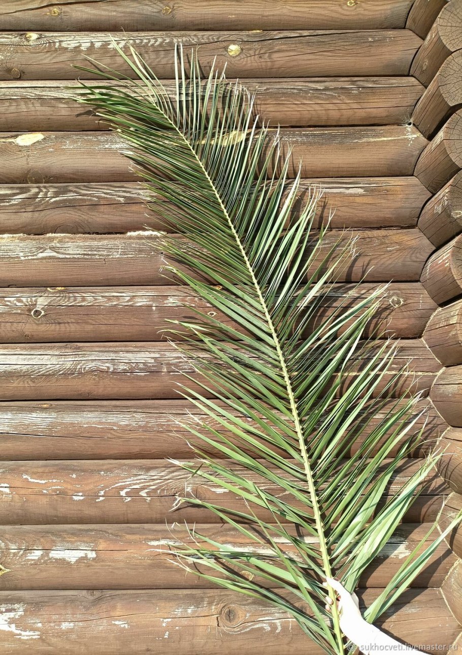 Декор "Пальма"