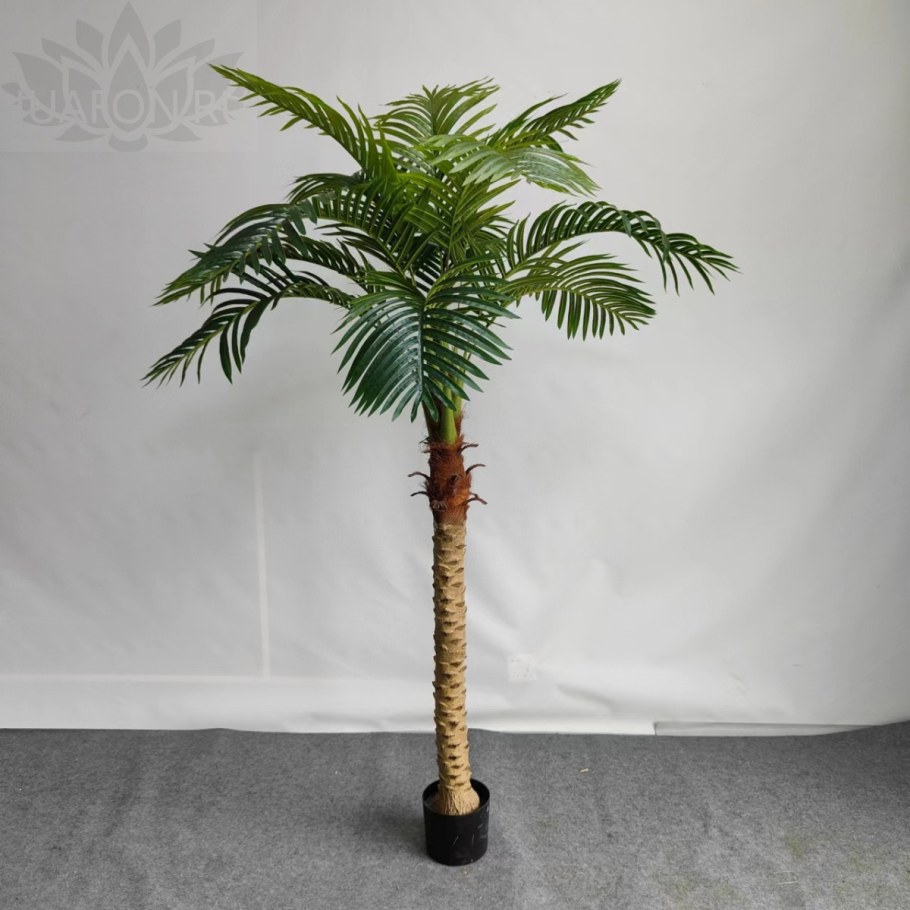 Пальмы декоративные комнатные