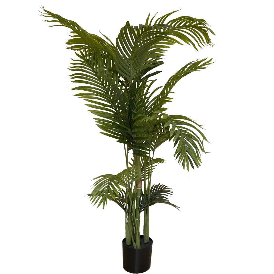 Ховея болезни