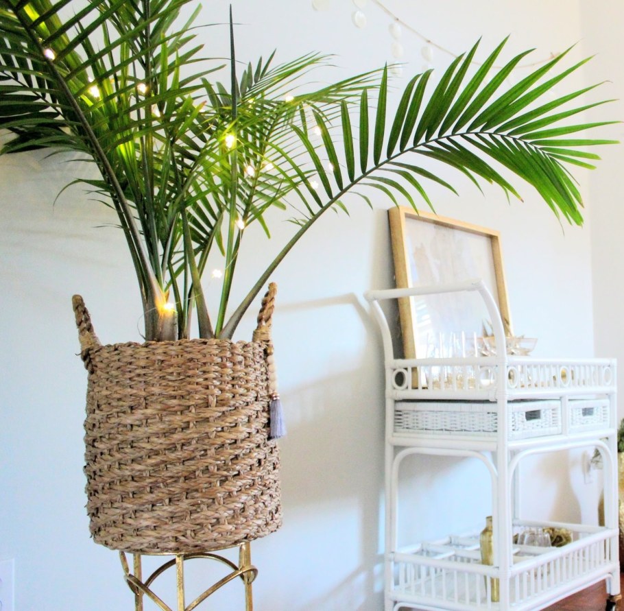 Пальмовое дерево в интерьере