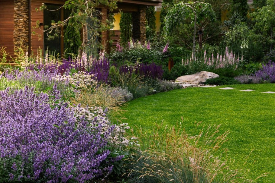 Котовник Фассена Six Hills giant