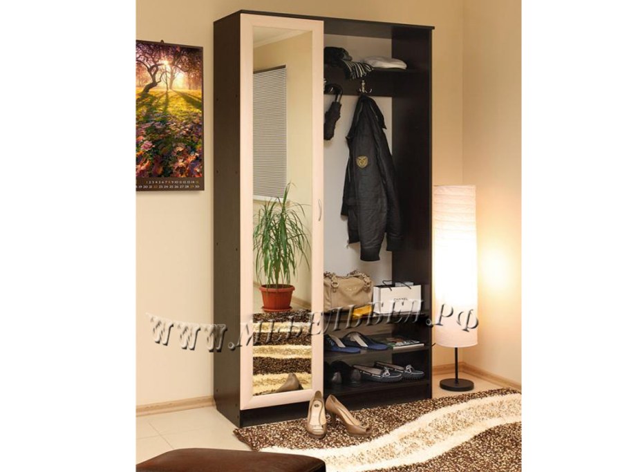 АН - 2 — прихожая Анечка венге