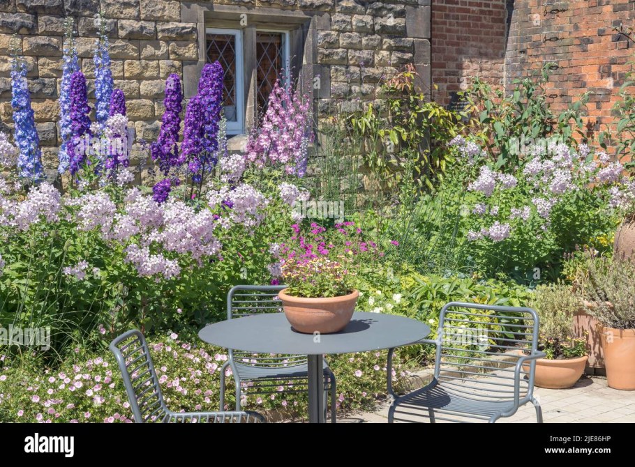 Монарда Лиатрис