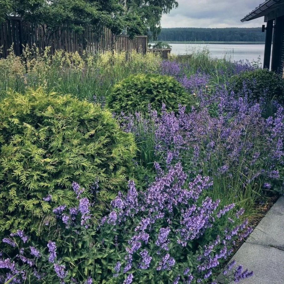 Стильные клумбы