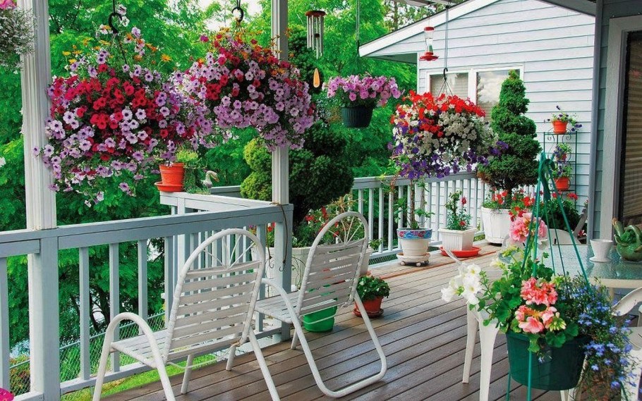 Петуньи в кашпо на веранде