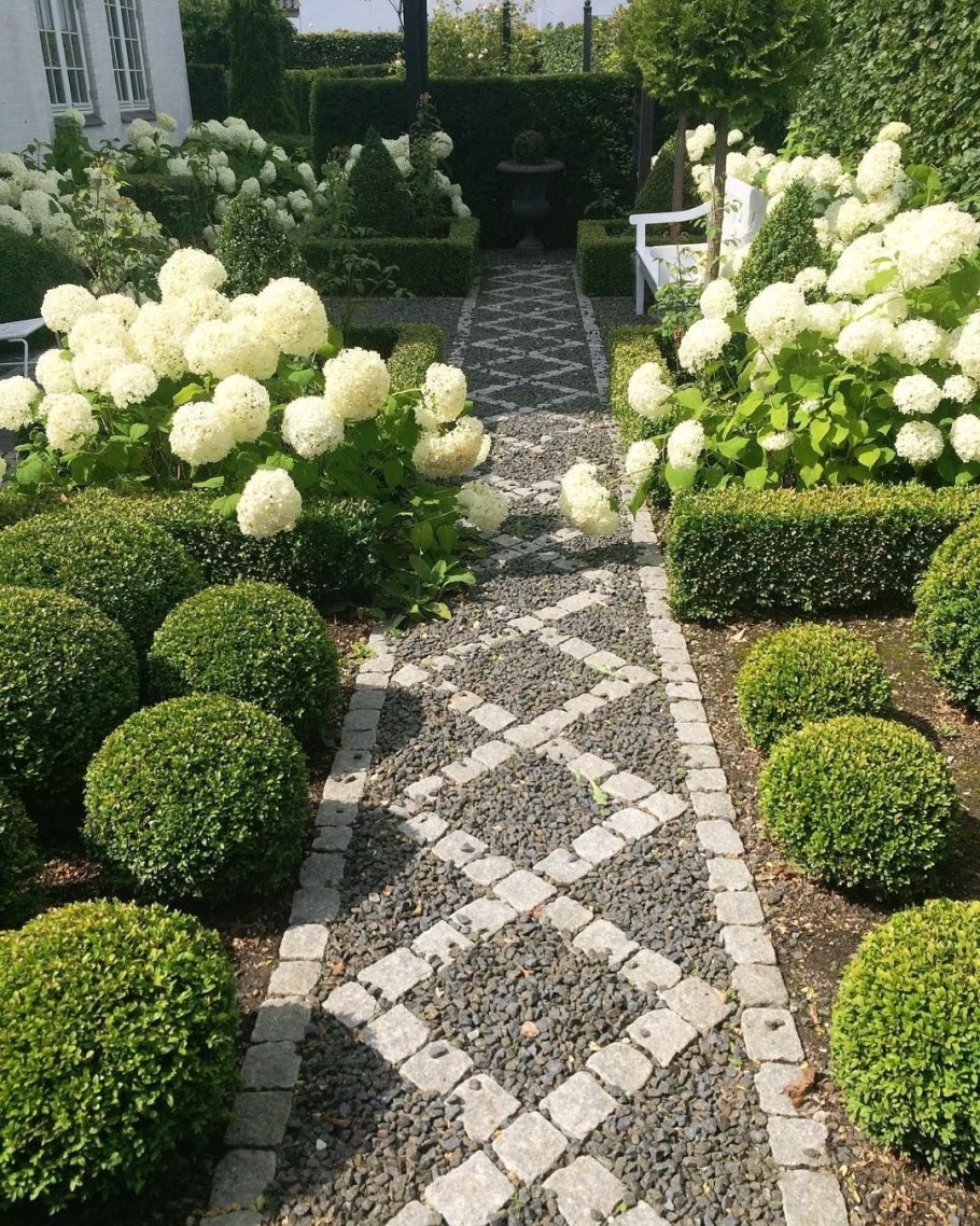 Гортензия Анабель самшит