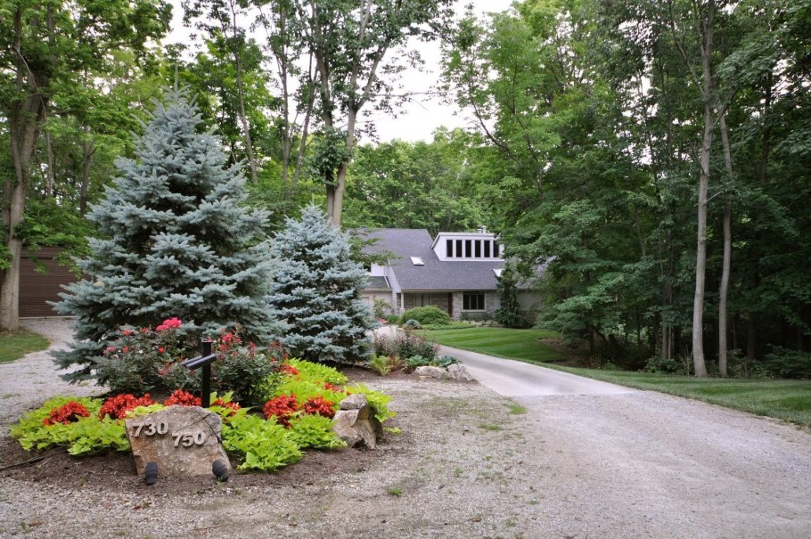 Ель Хупси и ель Глаука Глобоза ландшафт