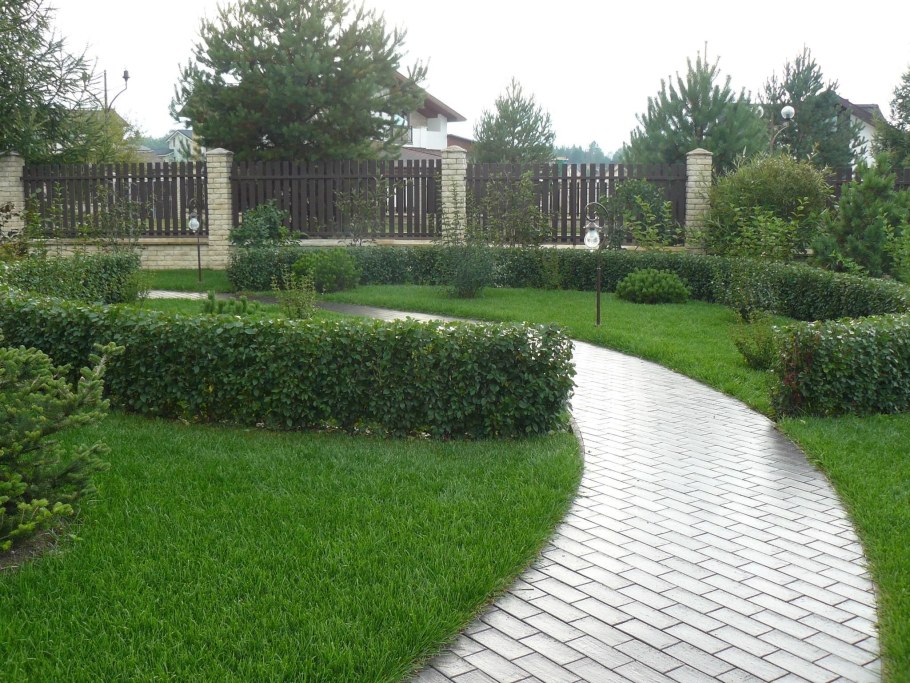 Кизильник в ландшафтном дизайне