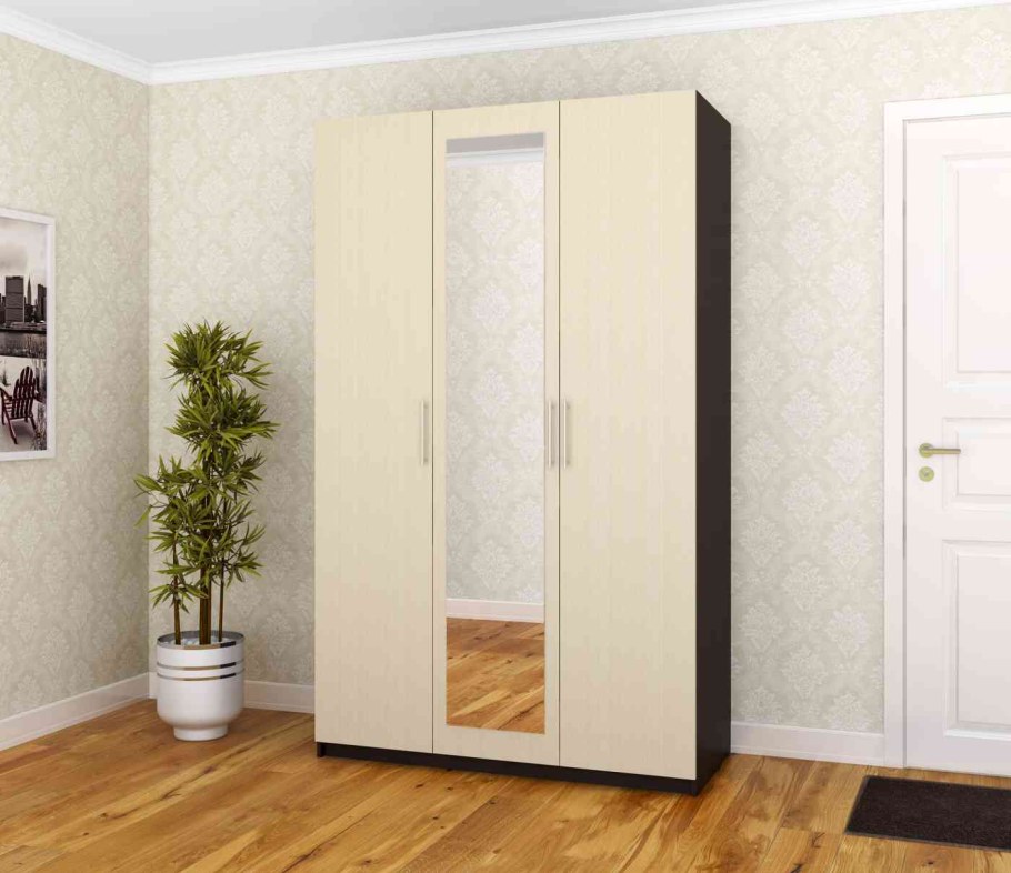 Распашной шкаф Шевертон-2