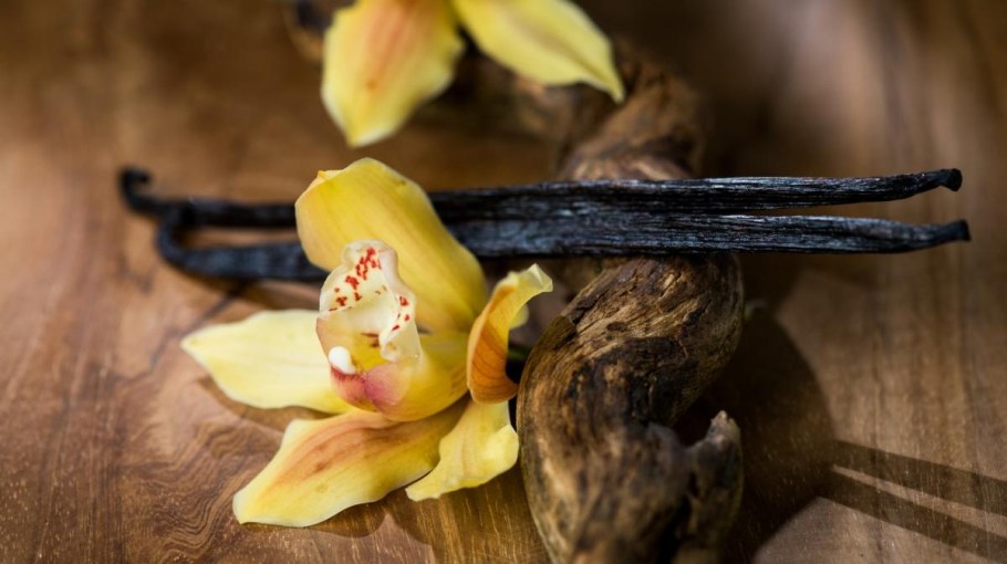 Цветы ванили апельсин красивый светлый фон