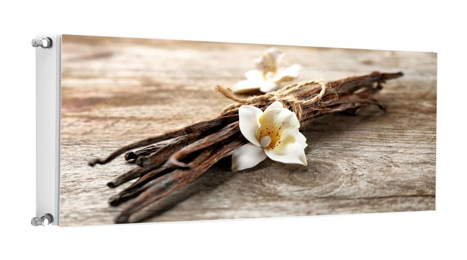 Мадагаскарская ваниль