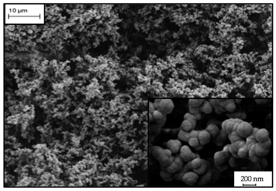 Структура аэрогеля под микроскопом