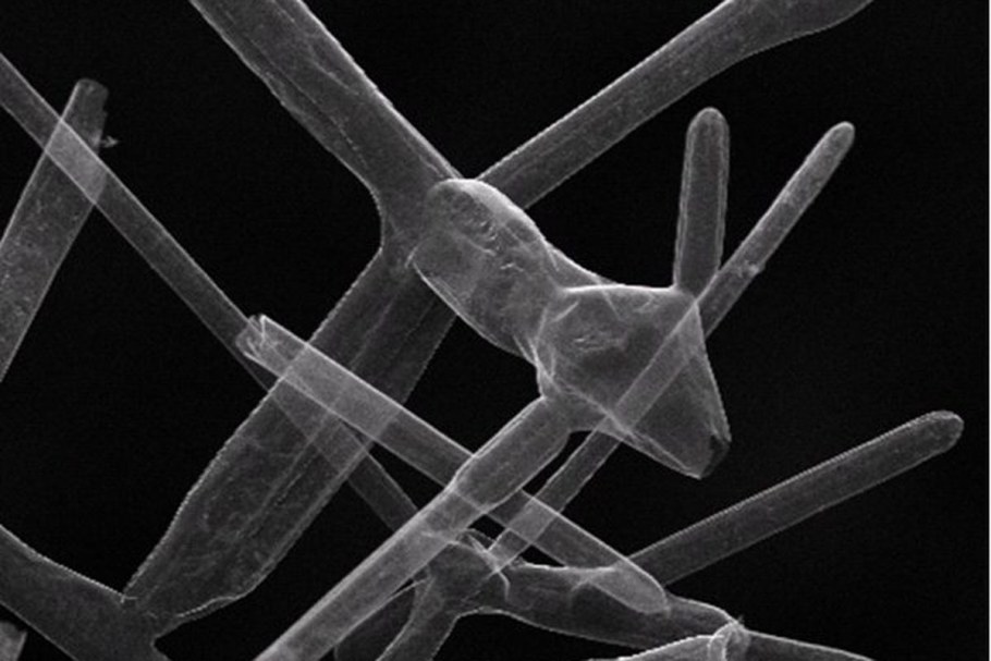 Графеновый аэрогель