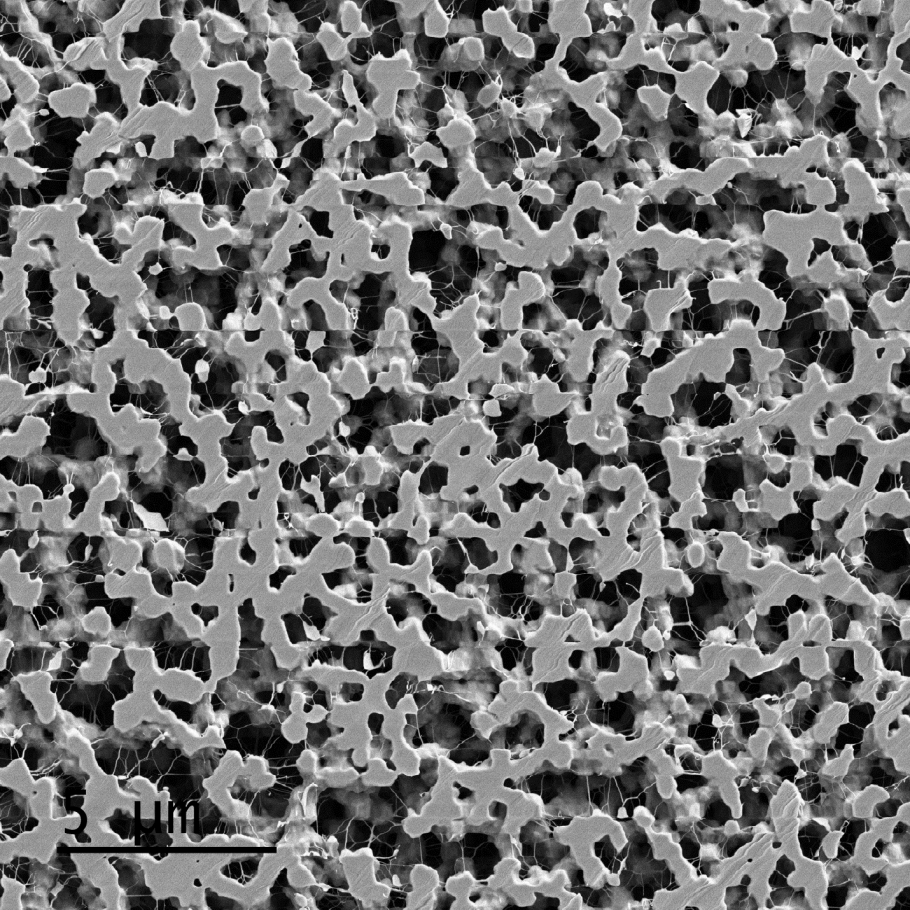 Целлюлоза под микроскопом для производства