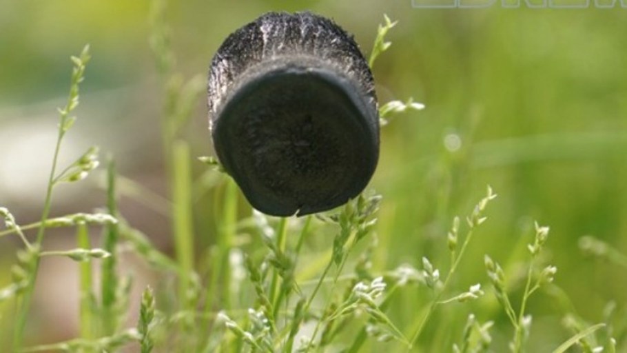 Углеродный аэрогель