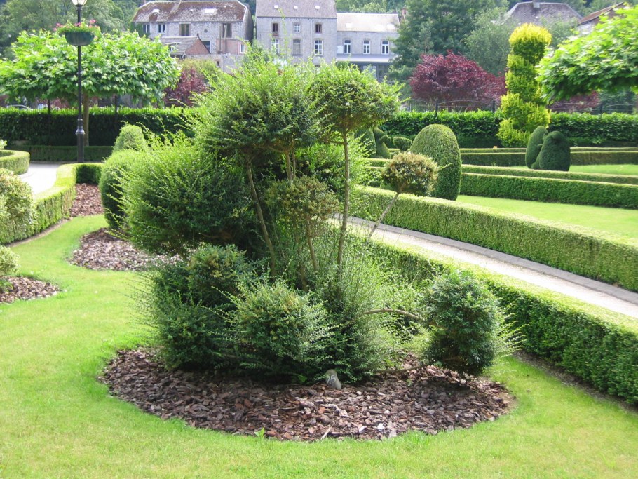 Туя шаровидная Мириам.