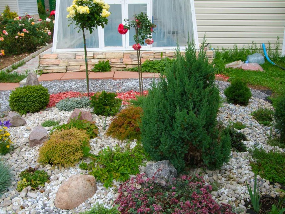 Ель Скайрокет рокарий