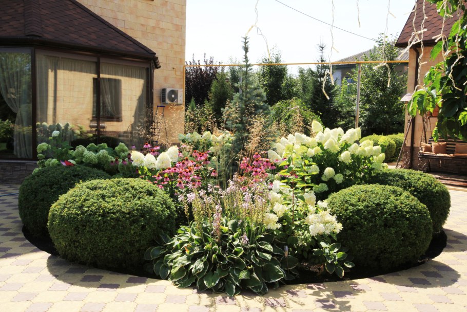 Миксбордер туя Тедди