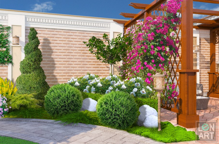 Туи и гортензии