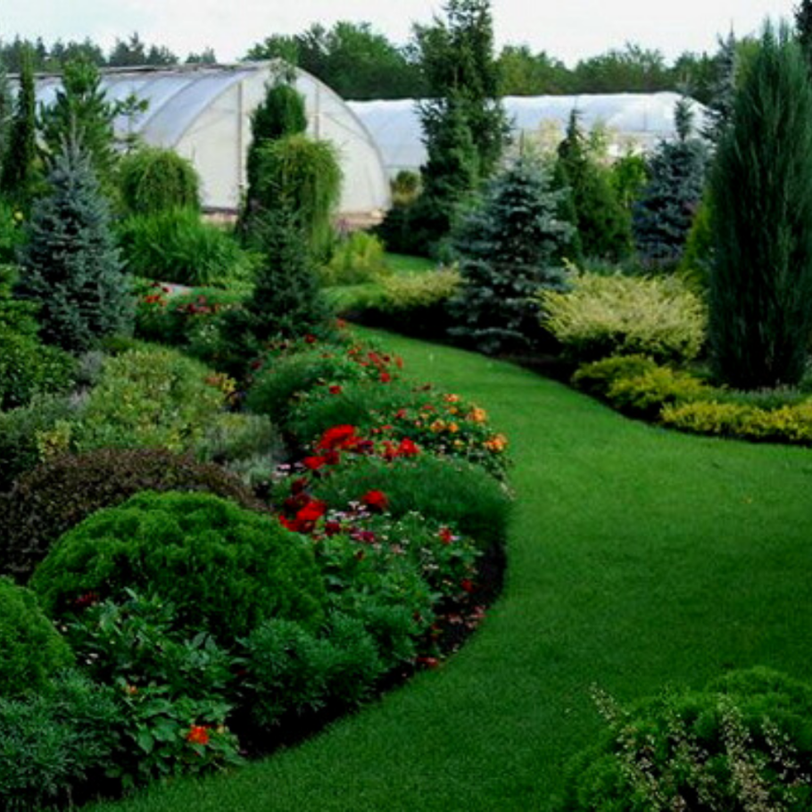 Хвойно Вересковый миксбордер