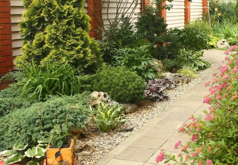 Можжевельник казацкий в миксбордере