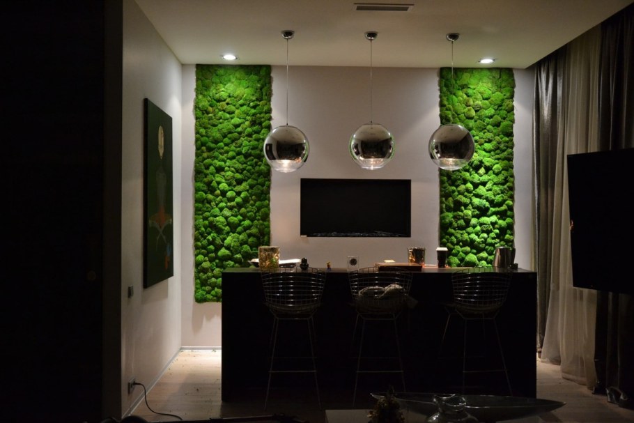 Фитостена мох