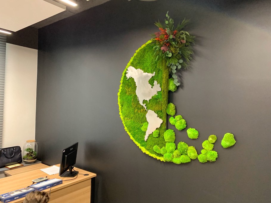 Фитостена мох