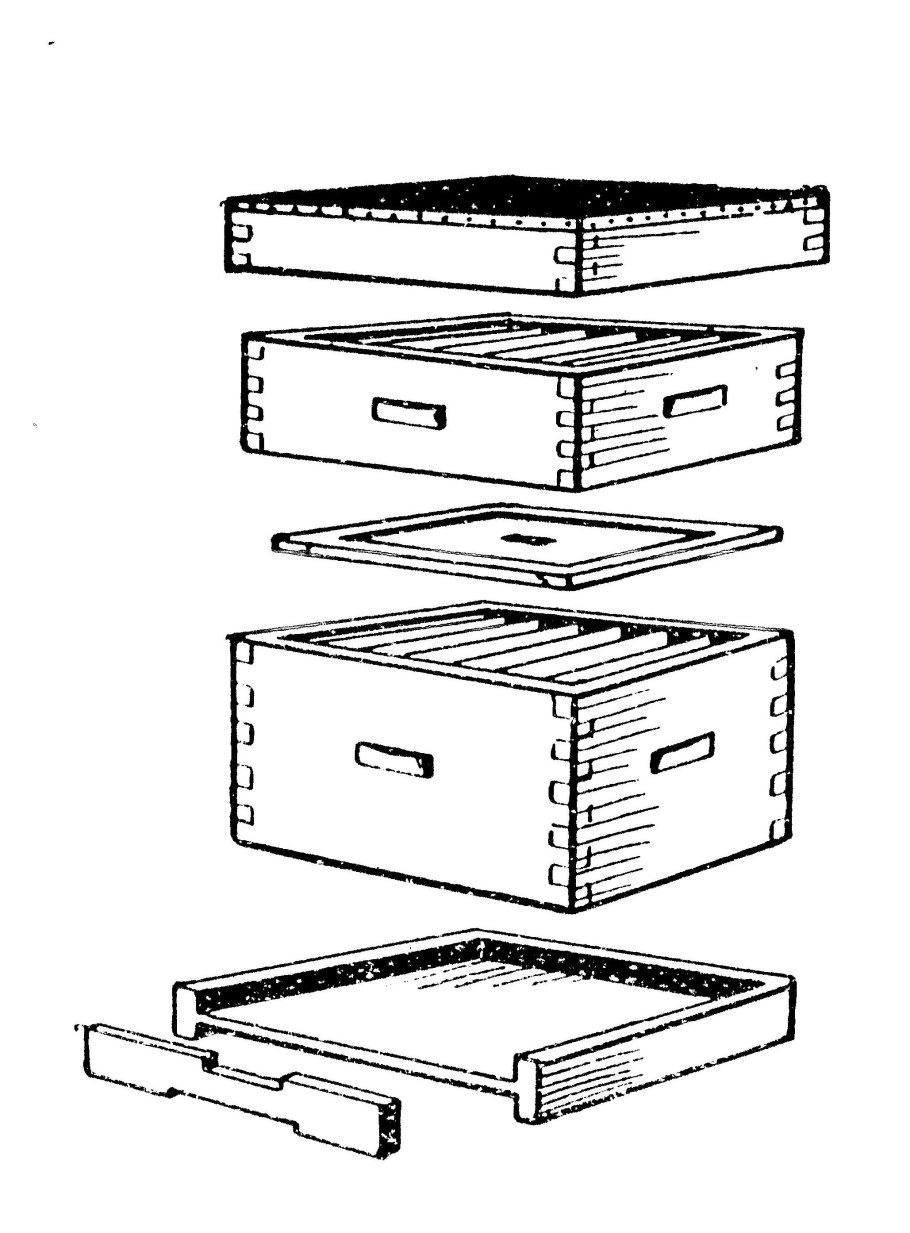 Схема улья Дадан на 10 рамок
