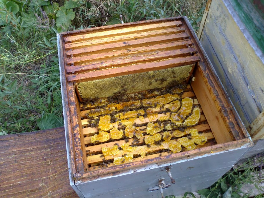 Пчелиный домик