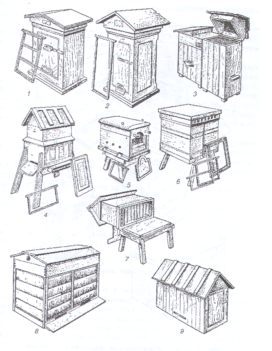 Улей Цебро чертеж