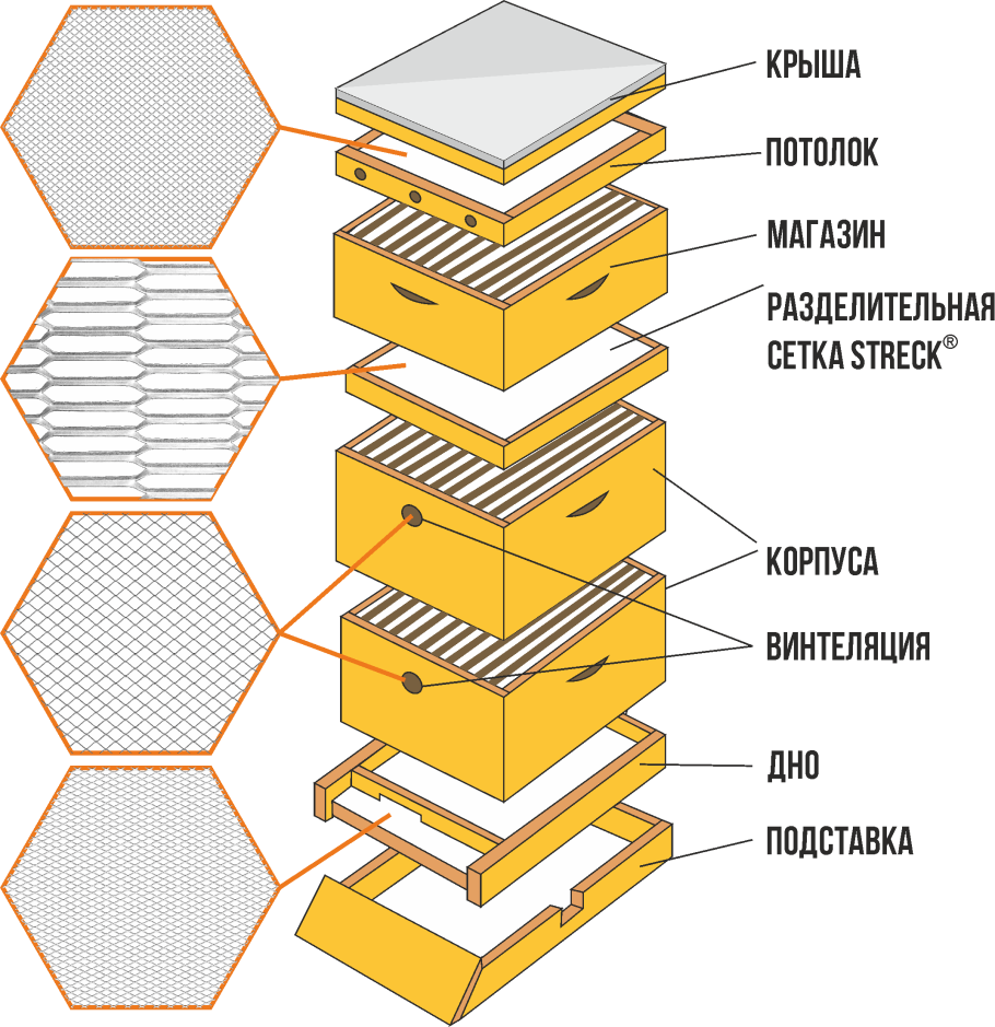 Чертёж улья ППУ Бибокс