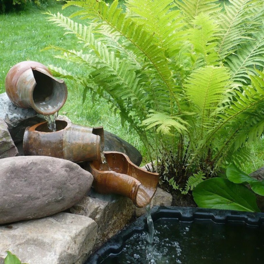 Папоротник страусник в ландшафте