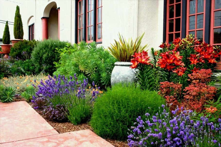 Лаванда рабатка миксбордер