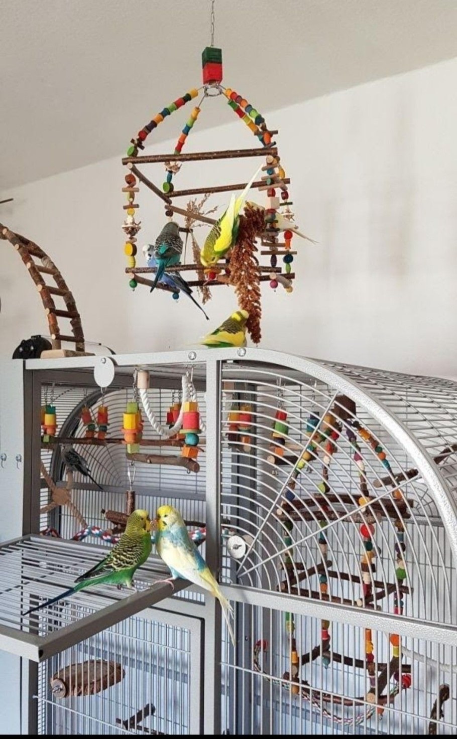 Декор для клетки попугая