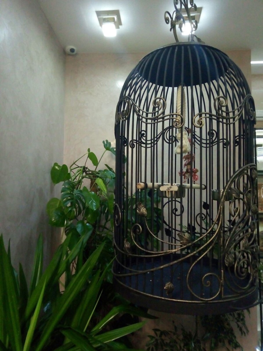 Клетка для попугая