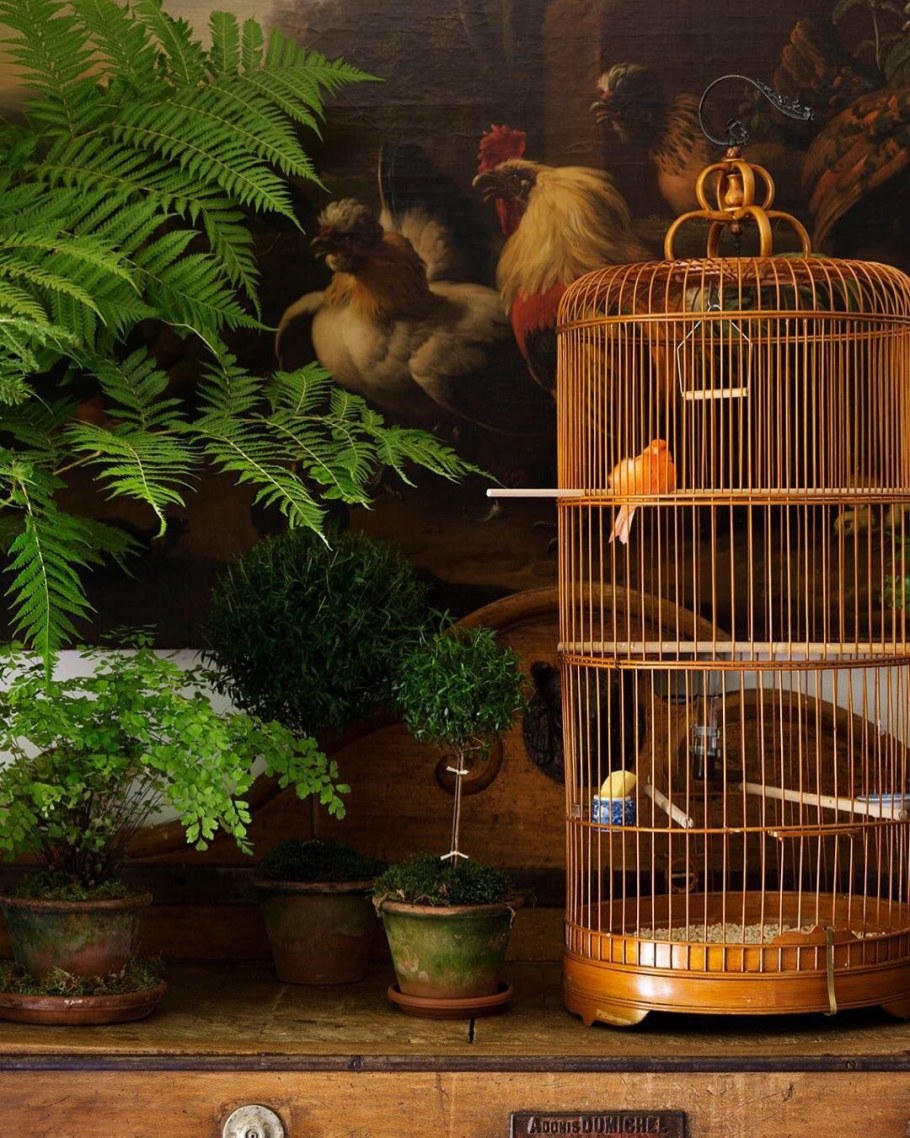 Клетка с канарейкой в интерьере