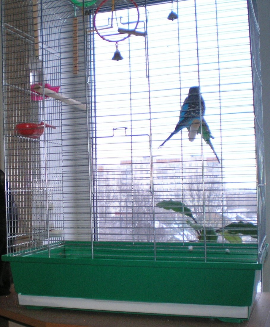 Клетка для волнистого попугая большая черная