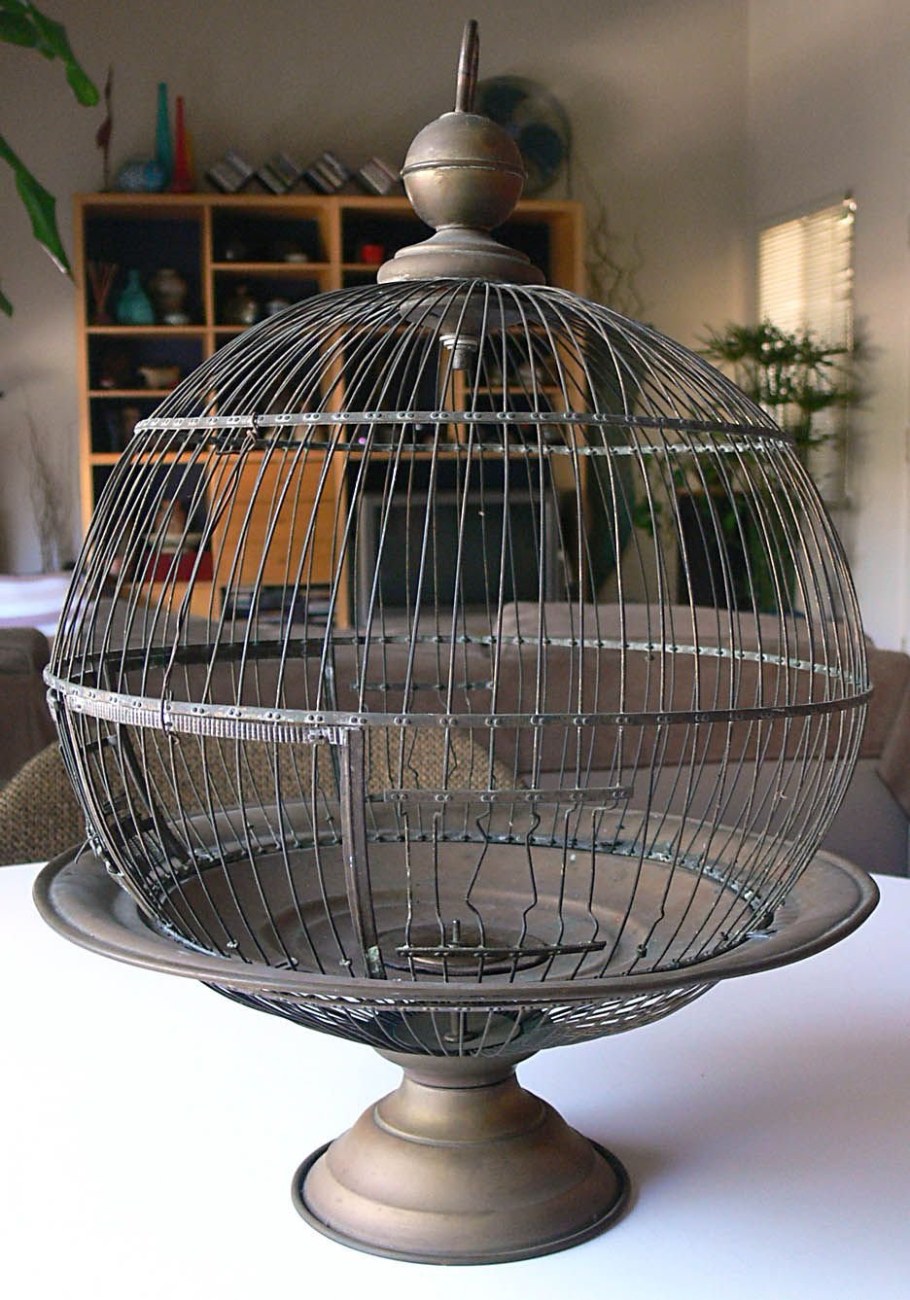 Птица в клетке