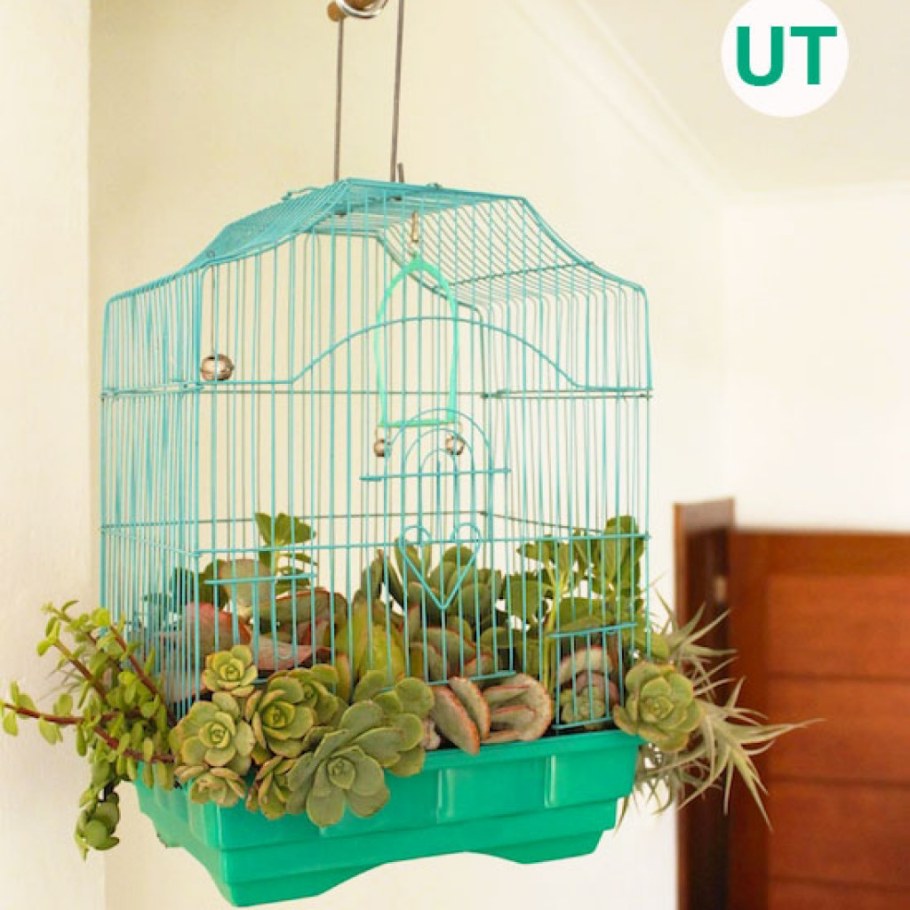 Клетка в саду декор