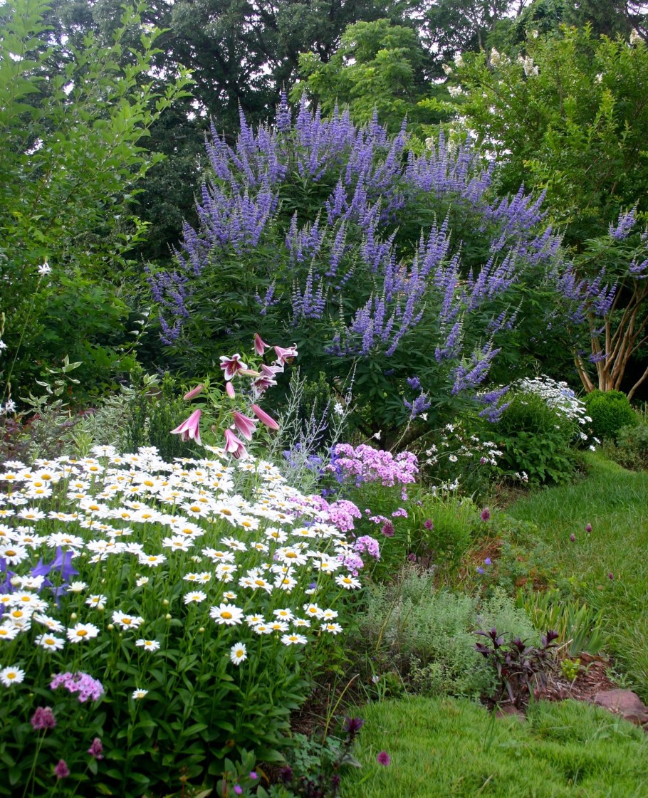 Миксбордер с лавандой и шалфеем