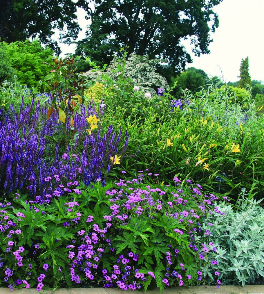 Клумба Флоксы лилейники астильбы