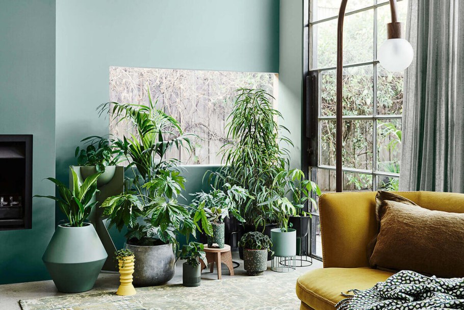 Гостиная с растениями